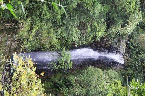 Neidong Forest Recreation Area